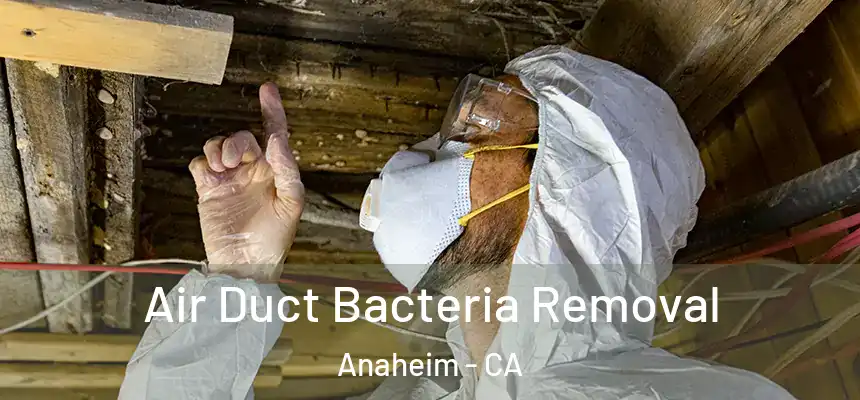  Air Duct Bacteria Removal Anaheim - CA