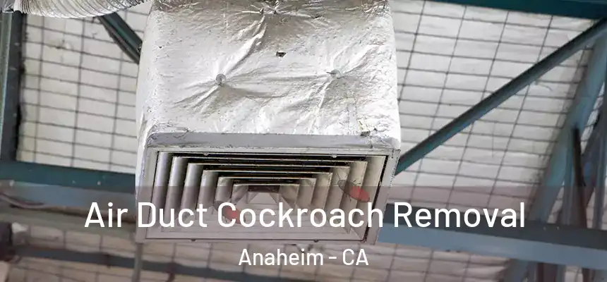 Air Duct Cockroach Removal Anaheim - CA