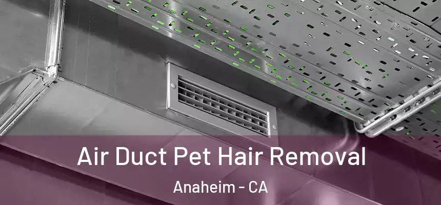  Air Duct Pet Hair Removal Anaheim - CA