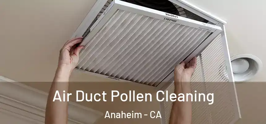 Air Duct Pollen Cleaning Anaheim - CA