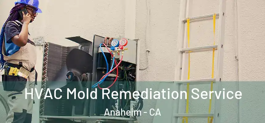  HVAC Mold Remediation Service Anaheim - CA