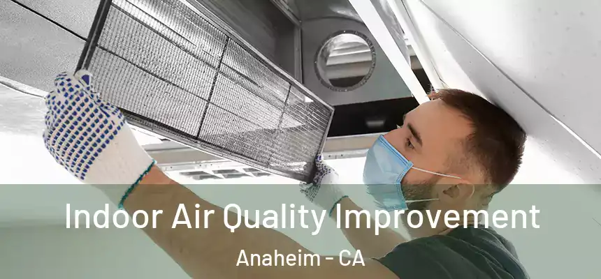  Indoor Air Quality Improvement Anaheim - CA