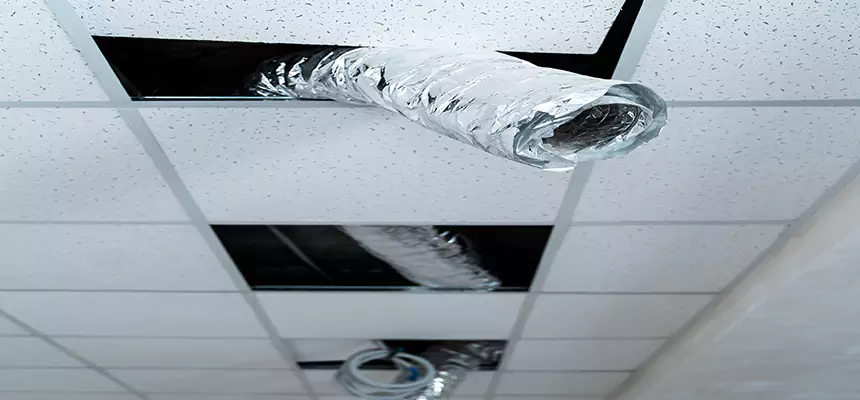 Affordable HVAC Sanitizing After Pest Removal in Anaheim