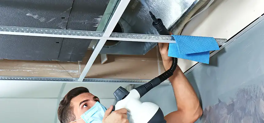 Our Air Duct Rodent Removal Services in Anaheim, CA