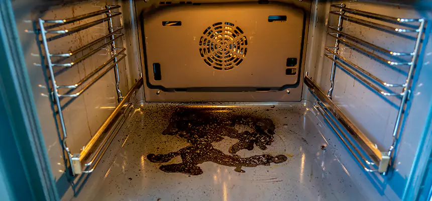 Our Dryer Vent Mold Cleaning Services in Anaheim, CA