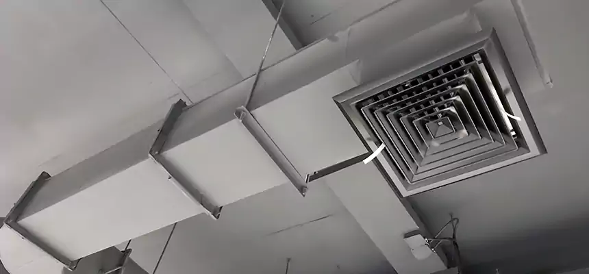 Our Pest Removal From Ducts Services in Anaheim, CA