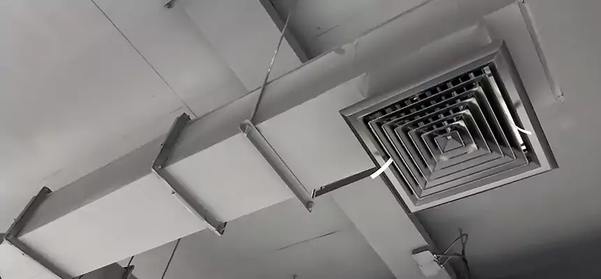 Our Rodent Droppings In Vents Services in Anaheim, CA