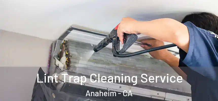 Lint Trap Cleaning Service Anaheim - CA