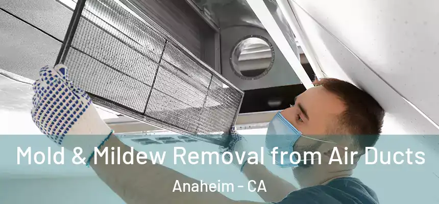  Mold & Mildew Removal from Air Ducts Anaheim - CA