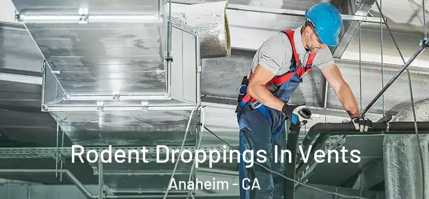  Rodent Droppings In Vents Anaheim - CA