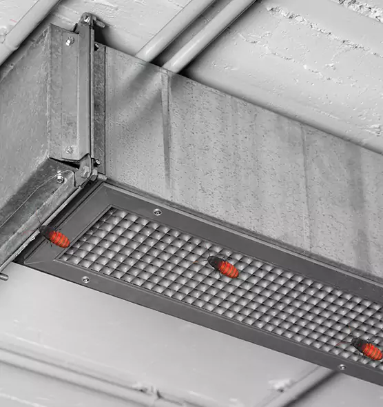 About Air Duct Cockroach Removal in Anaheim, CA