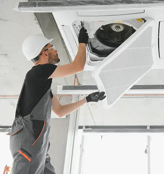 About Air Duct Rodent Removal in Anaheim, CA