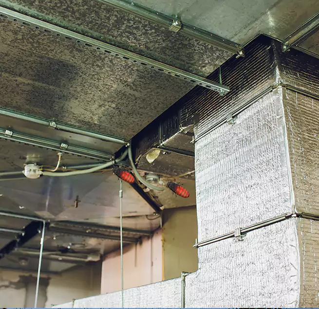 Why Homeowners & Businesses Trust Us in Anaheim, CA?