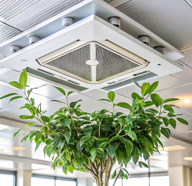 Why Homeowners & Businesses Trust Us in Anaheim, CA?