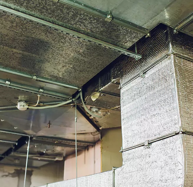 Why Homeowners & Businesses Trust Us in Anaheim, CA?